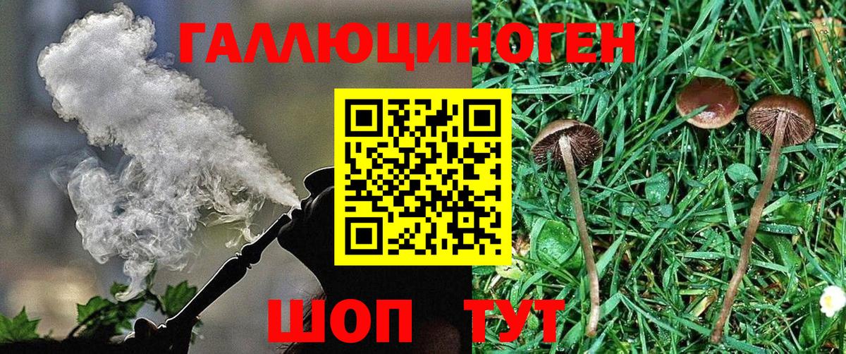 Псилоцибиновые грибы мицелий Краснокаменск